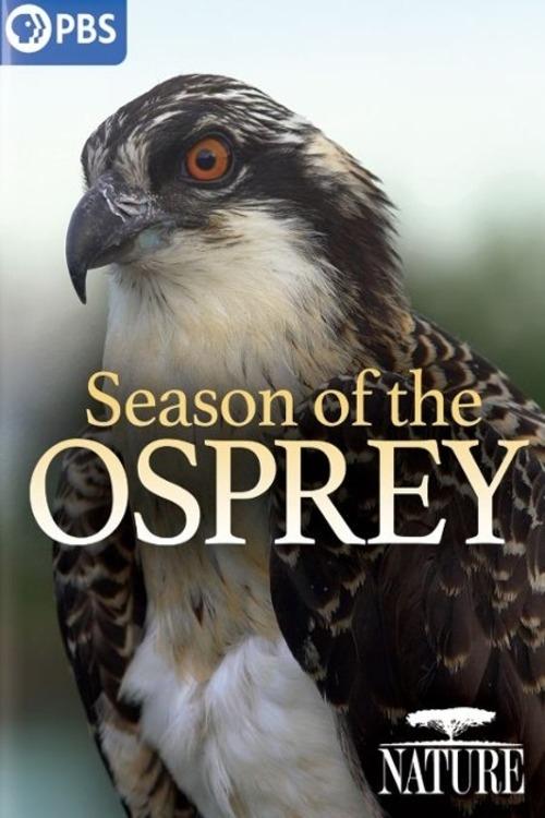 Постер Season of the Osprey